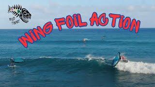 Wing Foil action in the waves on Oahu's south shore