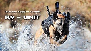 K9 Dog Units | Military Dogs In Action (Military Motivational)