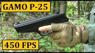 Gamo P-25 Pellet Pistol Review  (450FPS), Rifled Barrel, Blowback, .177 Cal)