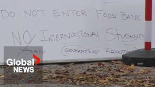 Brampton food bank faces backlash over "NO International Students" sign