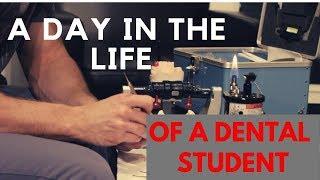 Day in the Life of a Dental Student!