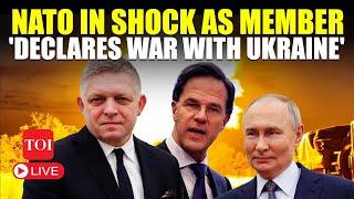 LIVE | NATO Nation 'At War' With Ukraine; Zelensky Begs For 'EU Action' | Putin-Fico Tango