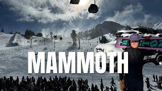 A Very Snowboard Centric Van Life Vlog. (Mammoth Opening Weekend)