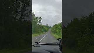 удивительные кони 