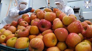 100% fruit juice! The process of making clean apple juice in a Korean factory