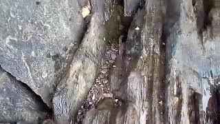 Dandeli eco park water playing from omkar magic trick