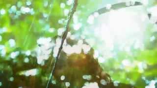 Bogdan Ota -ORIENT/ REVELATIONS A.D.2014