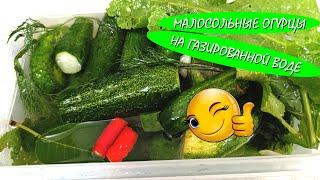 Малосольные хрустящие огурцы с горьким стручковым перцем на сильно газированной воде - суточные