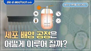 [셀트리온 C-FILES] 바이오시밀러 생산 과정 2단계! 세포 배양 공정은 어떻게 이루어질까?