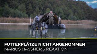 Futterplätze nicht angenommen!  Und nun? | Zwischen den Welten | Marius Hässner | Karpfenangeln