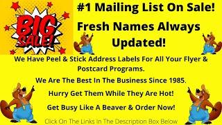 Big Sale #1 Hot Mailing List For Postcards & Flyers