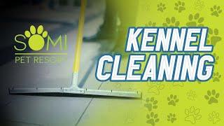 SoMi Pet Resort Behind the scenes Kennel Cleaning