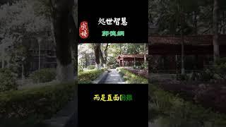 1080  真正的強者#情感#智慧#人生感悟#情感#智慧#人生感悟#勵志
