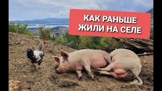 Забытые деревни Богдашичи над аэропортом Тиват - лёгкий пеший поход