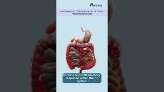  What is Inflammatory Bowel Disease