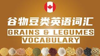 Learn Grains and Legumes Vocabulary in English 谷物豆类英文词汇