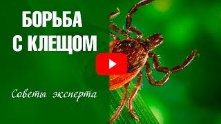 Борьба с клещом ️ Средство от иксодовых клещей