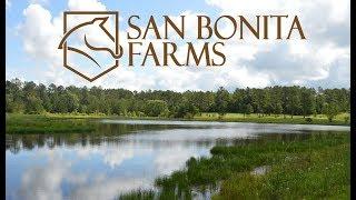 San Bonita Farms    MLS