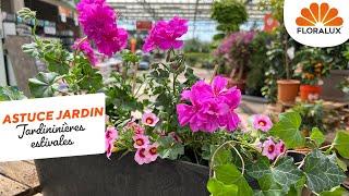 Astuce Jardin de Floralux: Des jardinières estivales