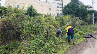 Shocking Discovery! What Caused the Road to Be Encroached Upon While Cleaning the Sidewalk?