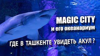 ГДЕ В ТАШКЕНТЕ УВИДЕТЬ АКУЛ ?: НЕВЕРОЯТНЫЙ ОКЕАНАРИУМ В MAGIC CITY.