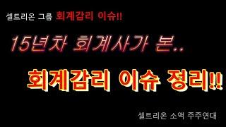 15년차 회계사가 본, 회계감리 이슈 정리!!