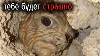 Самые Ужасные Видео со Всего Мира #13