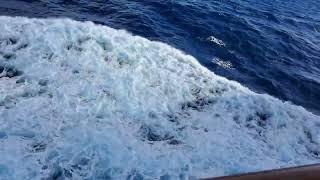 OCEAN WAVES PACIFIC OCEAN CARNIVAL SPLENDOR SEPTEMBER 7 2022