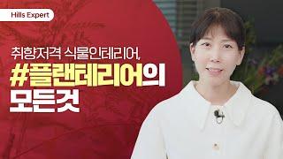 [Hills Expert] 힐스테이트와 함께하는 ‘가드너의 취향을 담은 그린 홈’ 나의 집 그리고 식물 #플랜테리어 편
