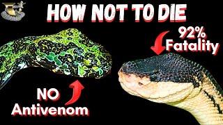 Top 3 Tips for Handling Dangerous Snakes Safely!