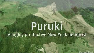 Puruki - A highly productive New Zealand forest