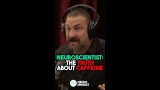 Neuroscientist: Truth About Caffeine | Andrew Huberman #joerogan #shorts