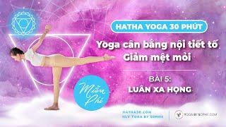 HATHA Yoga 30 phút - Bài 5: CÂN BẰNG NỘI TIẾT - Luân xa HỌNG | Yoga By Sophie