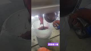 #一步一腳印 #嘉義義竹#桑椹銀行#柯班長#千歲團#快來訂閱