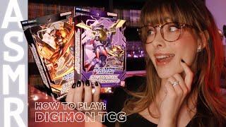 ASMR  How To Play The Digimon Trading Card Game!  Relaxing Lessons & Practice Battle!