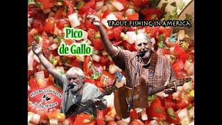 "Pico de Gallo" live performance by Trout Fishing in America