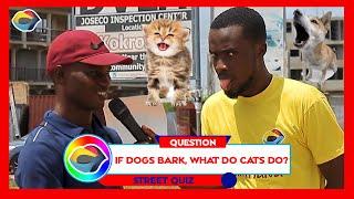 If Dogs BARK, What Do Cats Do? | Street Quiz | Funny Videos | Funny African Videos | African Comedy