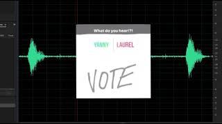 Обедают или в туалете?  Yanny or Laurel ? Янни или Лорел? Аудио-иллюзия.