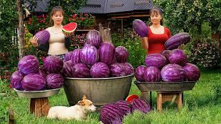 Harvest Japanese Luffa Goes To Countryside Market Sell - Harvest Melon | Tiểu Vân Daily Life