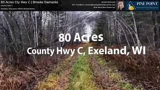 80 Acres in Sawyer County for Sale | Cty Hwy C, Exeland, WI | Brooke Damaske