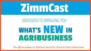 ZimmCast 739 - Happy New Year Episode