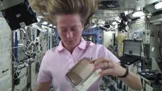 Space Seeds 2013: Day 4 - Progress Check