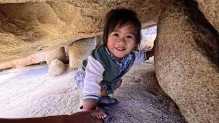 What Vanlife with a 2 Year Old Looks Like in Joshua Tree NP | A Van Life Family Vlog