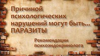 Паразиты могут быть причиной нарушений психики. Психоэндокринология в кадре.