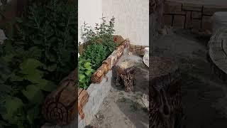 Сказочный двор