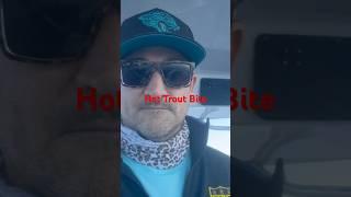 Hot Trout Bite - Sisters Creek Fishing #fishing #fishingvideo #shortvideo #neven