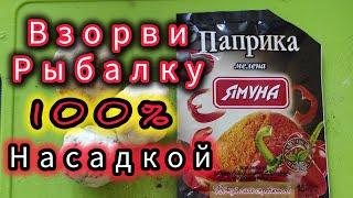 ВЫЛОВИ ВСЮ РЫБУ ЭТОЙ НАСАДКОЙ!!! Насадка на Карася ,Карпа,ПлотвУ!!!