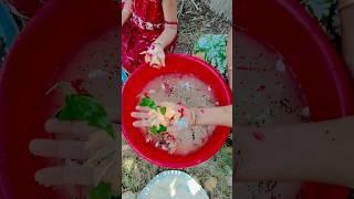 Happy family show, Lovely family play game at home #Han Sinh #Shorts#