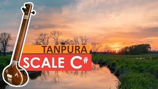 #tanpura #riyaz #scalec RAJAN ISHAN || REAL TANPURA || SCALE - C#