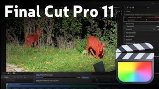 Final Cut Pro 11 – Einführung zu magnetischen Masken